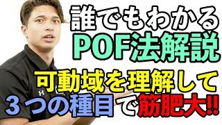 【POF法】誰でもわかるPOF法解説可動域を理解して3つの種目で筋肥大を狙え【解説】 [upl. by Esilahc]