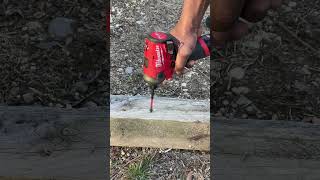 Discover the Untapped Power of the Milwaukee M12 Surge Impact Driver 🔥🔥 [upl. by Namdor]