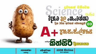 දවස් 30න් විද්‍යාවට A එකක්  Night Time Boosters 03  Dr Kithsiri Dissanayaka [upl. by Eikciv]