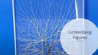 EBEAM Crash Course Lichtenberg Figures Beginner Level [upl. by Yllom628]