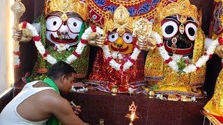 Rath Yatra  Chennai odishapuriodiarathyatra [upl. by Dasa313]