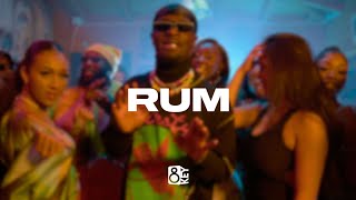 FREE NSG x Swarmz x Afroswing Type Beat  “Rum“  UK AfroswingRampB Instrumental 2023 [upl. by Aidualc97]