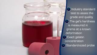 Food Technology Corporation  Gelatin Bloom strength measurement [upl. by Ardnosac]