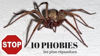 Comment traiter vos phobies [upl. by Kachine719]