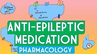 Epilepsy pharmacology  Soton Brain Hub [upl. by Ballou]