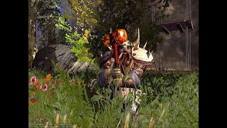 Return to Darkfall PvP 5 [upl. by Dugald]