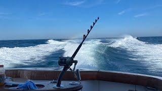 Boston Ma  Bluefin Tuna Fishing [upl. by Navoj725]