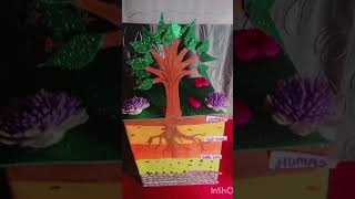 Making modal of Soil Profile Hope you all like this video Please like share and subscribe [upl. by Cale]