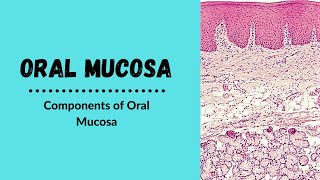 Components of oral mucosa  Oral Mucosa [upl. by Grath]