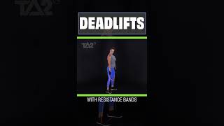 Resistance Band Training  Deadlifts  TA2 Burn Program [upl. by Gathard]