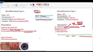 Neurofibromatosis Types 1 and 2 [upl. by Scarlett]