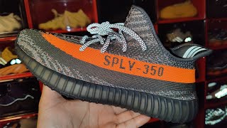 Yeezy 350 v2 quotCarbon Belugaquot  Early Review  On Feet Look [upl. by Devad]