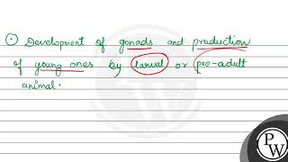 Paedogenesis refers to A Precocious development of gonads B Retention of larval characters b [upl. by Miche]