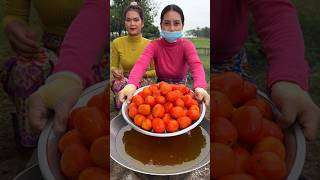 How to cook tomato sauce recipe shortvideo shorts cooking food recipe [upl. by Lyreb]