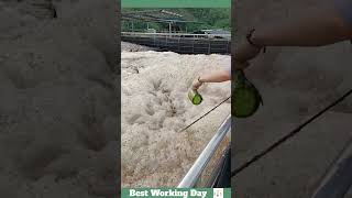 Best working day 1699 Wastewater treatment process with defoamer [upl. by Garrot661]