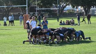 Wellington Club Rugby 4K Video  Swindale Shield Round 4 2024  Petone vs JVille [upl. by Riordan579]