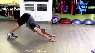 Down Dog Tricep Push Ups [upl. by Asselim]