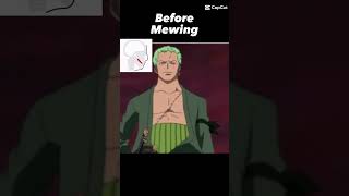 Mewing before vs after mewing anime version partie 2 [upl. by Lirret]