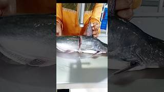 Pangas fish cutting l Fish Cutting By Machine In Fish Market l Fish Cutting Video Showl shorts [upl. by Nicholson]