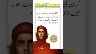 Che Guevara urdu quotes status  Che Guevara  چے گویرا cheguevaraquotes [upl. by Gilcrest]