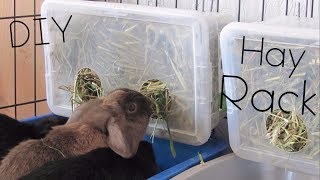 DIY HAY RACKBOX  SUPER CHEAP [upl. by Hugon432]