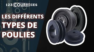 Les différents types de poulies [upl. by Atirehc492]