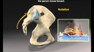 Sacroiliac Joint [upl. by Gnoht]