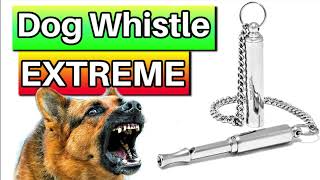 Dog Whistle 10 hours [upl. by Leddy]