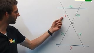 Strahlensätze 1 amp 2 Rechnung mit beiden Strahlensätzen  Geometrie [upl. by Anhaj]