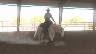 Big Chex To Shine  Reining Horse For Sale [upl. by Concettina]