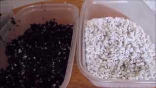 Perlite What It Is And How To Use It [upl. by Illa336]