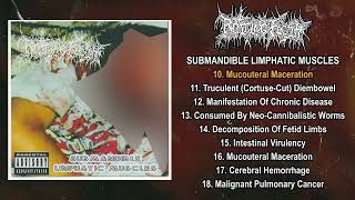 Rotting Flesh  Submandible Limphatic Muscles FULL ALBUM 1995  Goregrind  Deathgrind  Grindcore [upl. by Lenej]