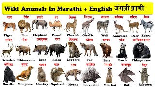 wild animals english to marathi with pdf  जंगली प्राणी  जंगली जानवर  download pdf [upl. by Rein]