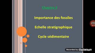 Fossiles et fossilisation 1AC [upl. by Llevert]