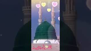 Jithe Madni da dera ae ni jindariye chal chalye viralvideo shorts [upl. by Onilecram]