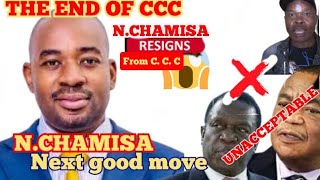 watch this Nelson Chamisa left C C C this is what will going to happen dont miss ngaapinde zvake [upl. by Fidela]