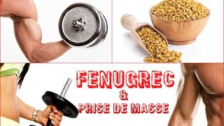 graines germées Le fenugrec anabolisant naturel 🌱 jalimente ma santé [upl. by Naillik]