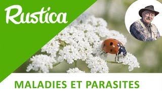 Lutter contre les parasites sans insecticide [upl. by Trahern350]