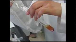 Phytochemical Screening [upl. by Guild]