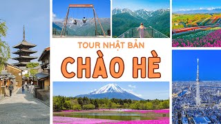 Tour Nhật Bản 2024  Hành Trình Mới  Hấp Dẫn Vượt Trội [upl. by Ardnovahs]