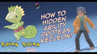 Where to Find Hidden Ability Protean Kecleon  Pokémon Brilliant Diamond [upl. by Akehsay]