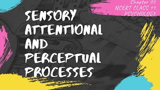 CHAPTER 05CLASS 11 PSYCHOLOGYNCERTSENSORY ATTENTIONAL AND PERCEPTUAL PROCESSESPSYCHED [upl. by Chassin]