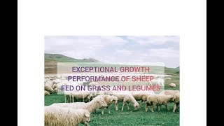 Growth performance of Dorper sheep fed on rangeland grasses with legumeskalro snv climatechange [upl. by Gothar231]