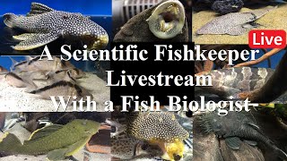 A Scientific Fishkeepers livestream Why Biology is Important to a Fishkeeper [upl. by Lunneta]