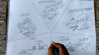 how to draw sources of carbohydrates  proteins and fats [upl. by Dewey549]