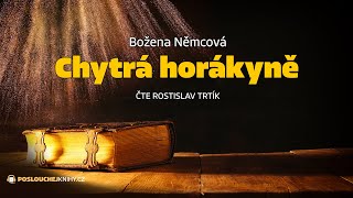 Božena Němcová Chytrá horákyně [upl. by Princess]