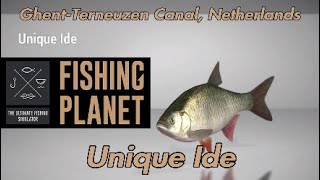 Unique Ide  GhentTerneuzen Canal Netherlands  Fishing Planet Guide [upl. by Zeta]