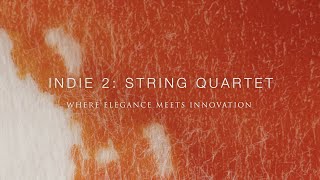 Indie 2  String Quartet  Cinematic [upl. by Lucio]