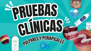 Pruebas Clínicas Diagnósticas Pulpares y Periapicales 🦷 [upl. by Adalard]