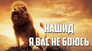 Нашид  Я вас не боюсь [upl. by Zendah]